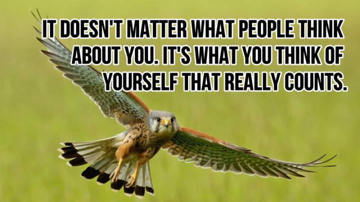 inspirational-quotes