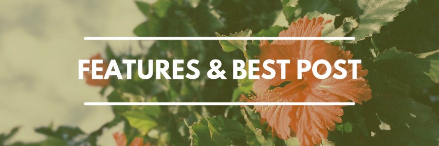 features and best posts