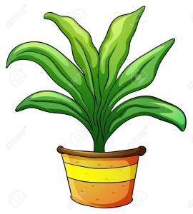 14132370-illustration-of-a-plant-pot-on-a-white-background-Stock-Vector-plants