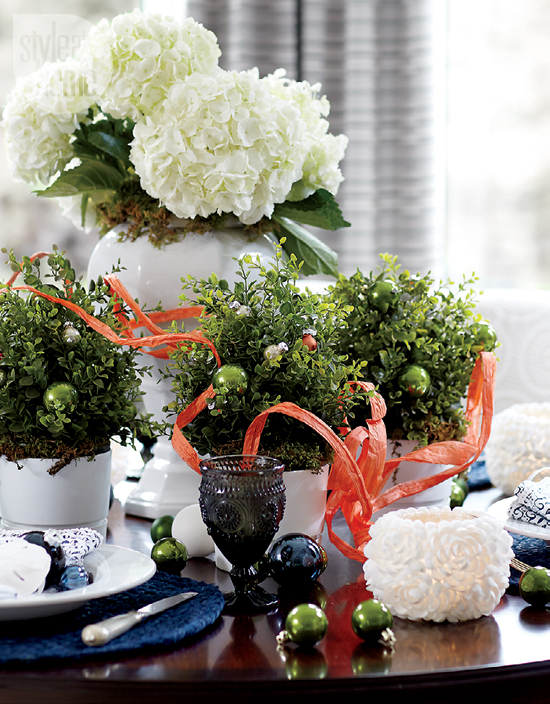 interior-holiday-colour-flowers