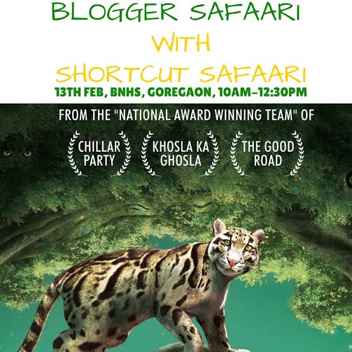 blogger safaari