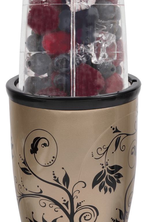 wonderchef-nutri-blend